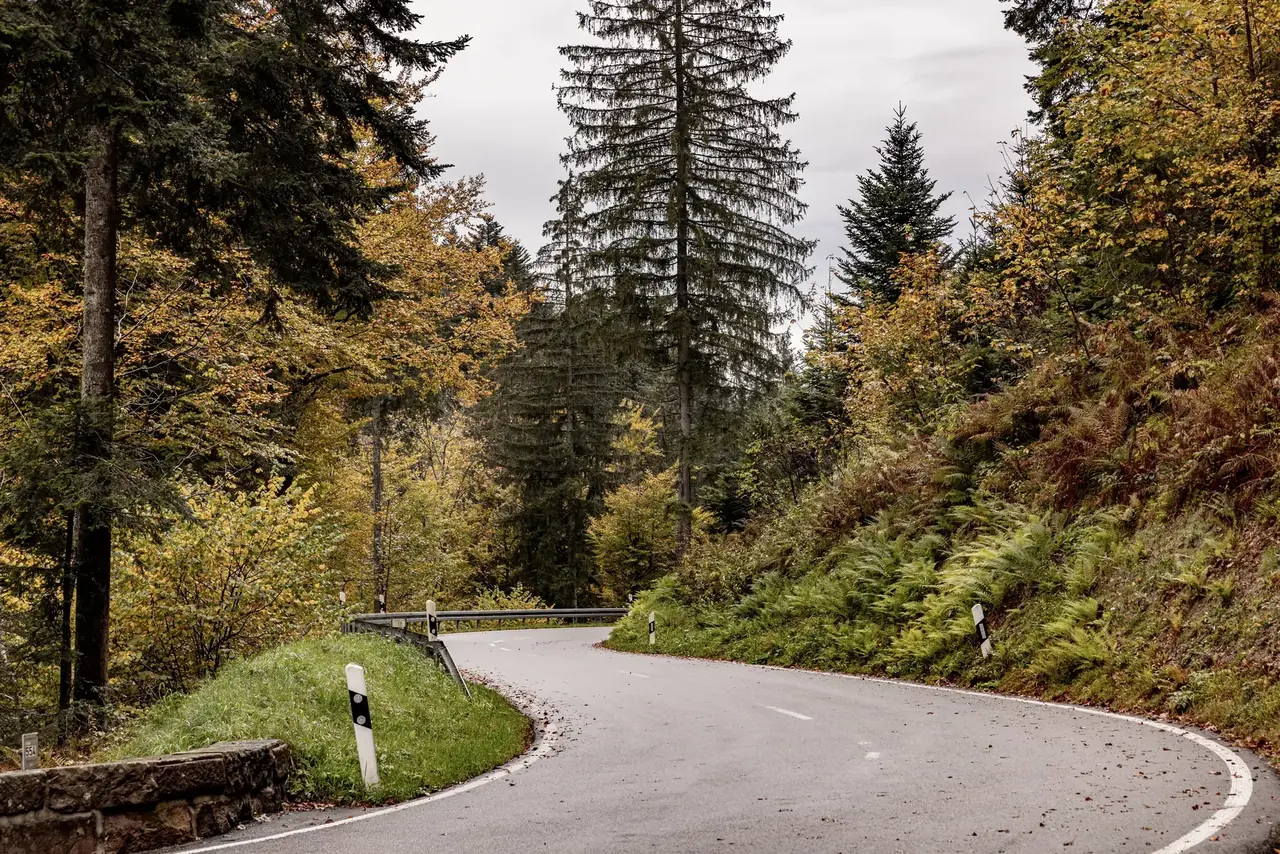Schwarzwald-Hochstraße, Panoramastraße durch den nördlichen Schwarzwald